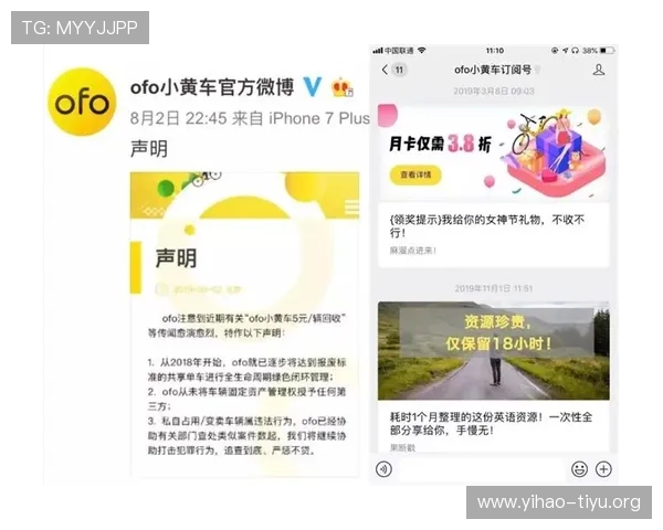 买球票球址汇：提升购票成功率的实用攻略与用户体验分享